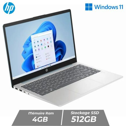 WSD P10 Celeron N5095 16Go/512Go SSD